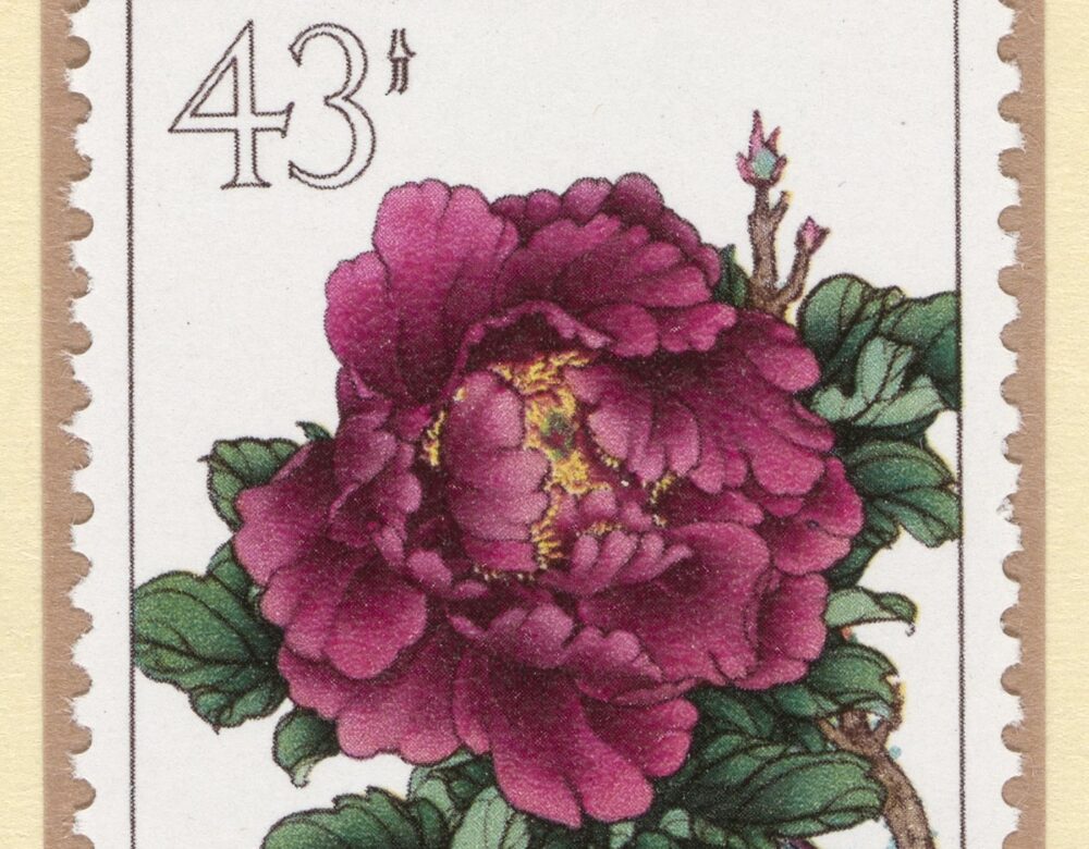 postage stamp featuring a reddish purple peony