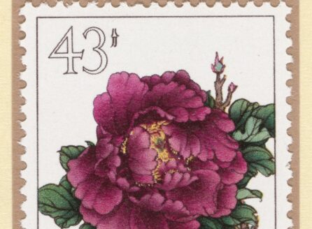 postage stamp featuring a reddish purple peony