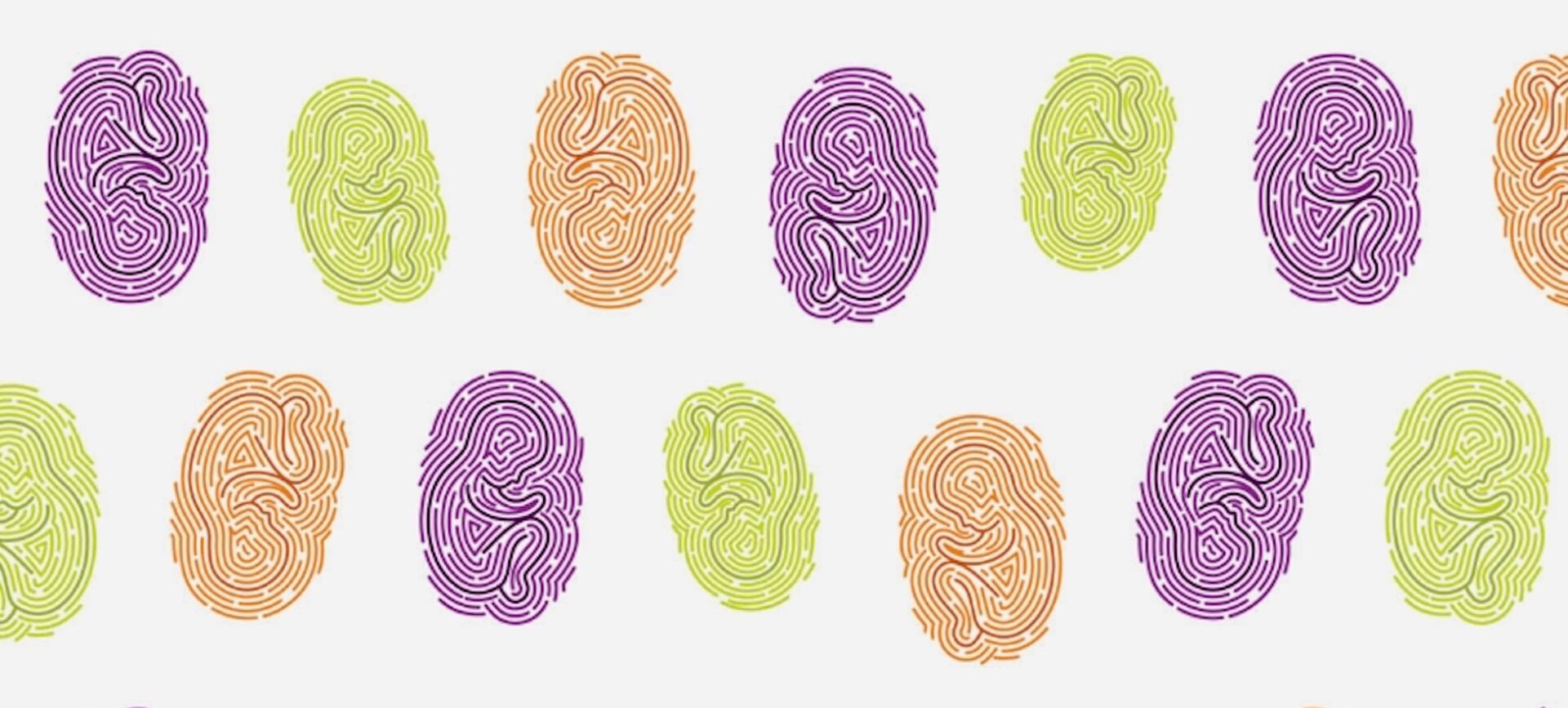 cover The Maternal Imprint book