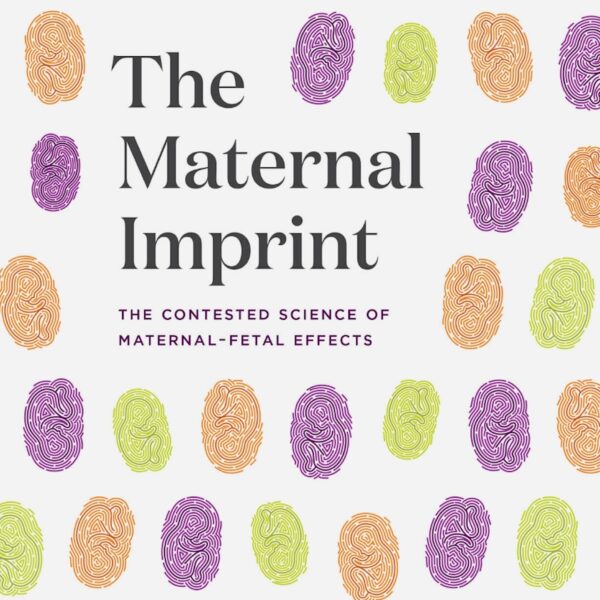 cover The Maternal Imprint book