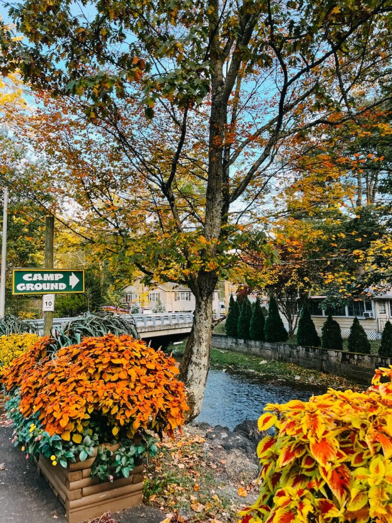 photo of the Roaring Creek flowing through Knoebels Amusement Resort in PA