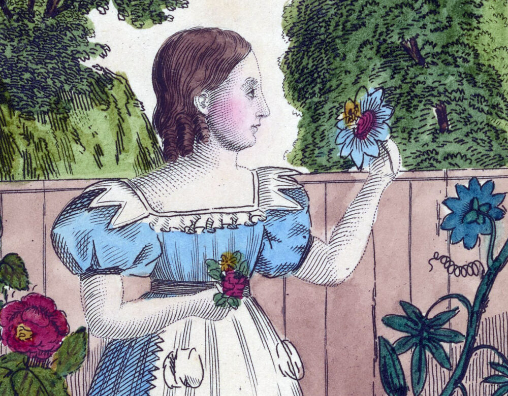 illustration of a young woman in apron examine a flower