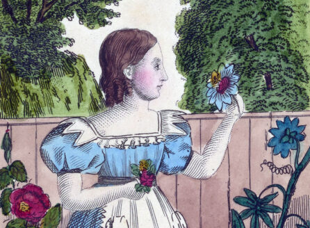 illustration of a young woman in apron examine a flower