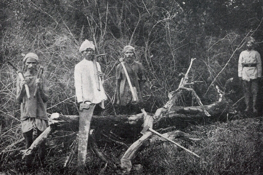 Four men standing holding axes and saws standing next to a felled tree
