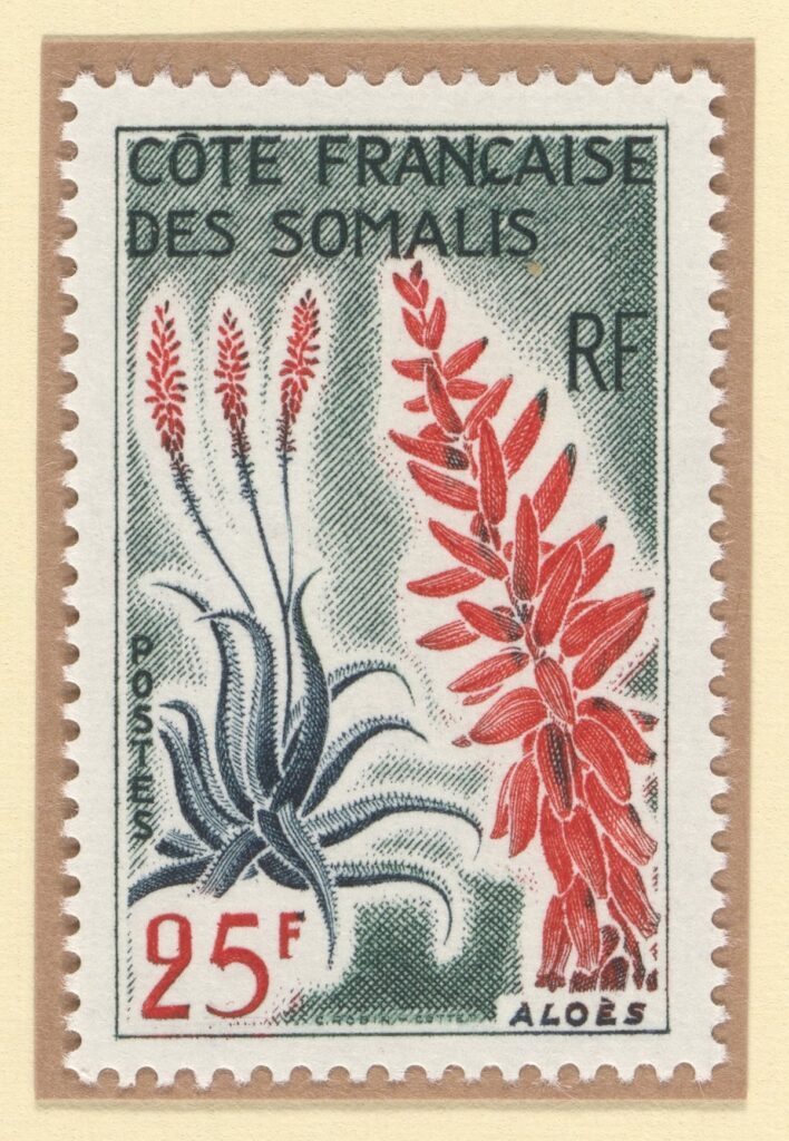postage stamp depicting an aloe vera plant