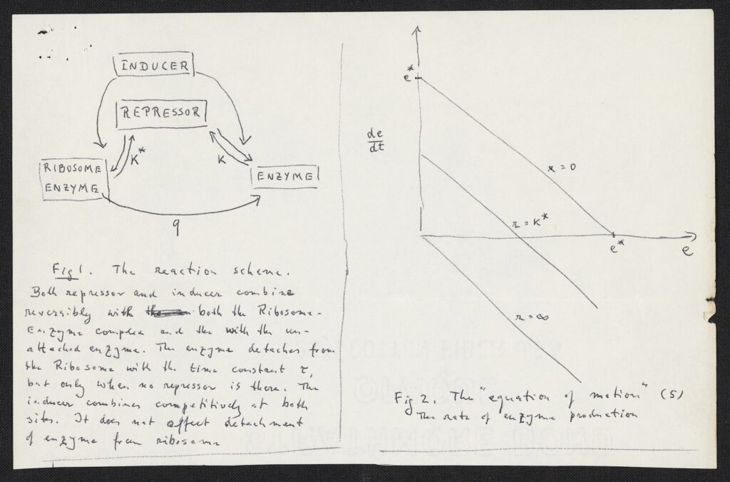 Detail from Max Delbrück’s 1960 letter to Leo Szilard showing corrections and diagrams. 