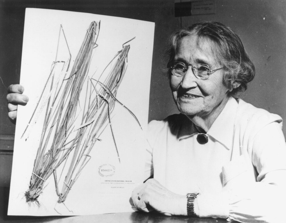 black and white of a women holding up a herbarium