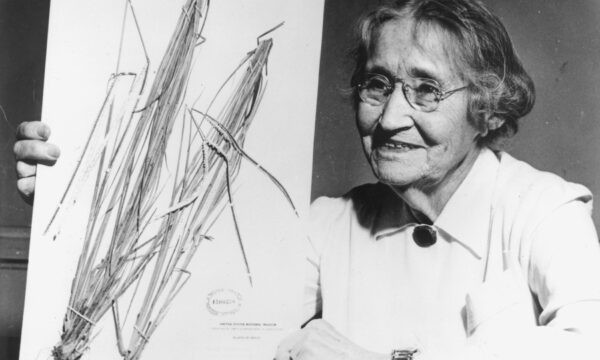 black and white of a women holding up a herbarium