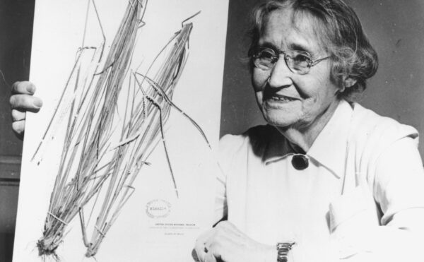 black and white of a women holding up a herbarium