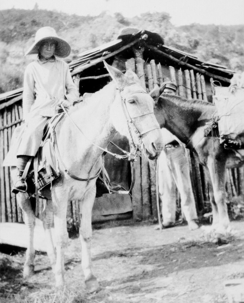 Mary Agnes Chase collecting plants in Brazil, 1929