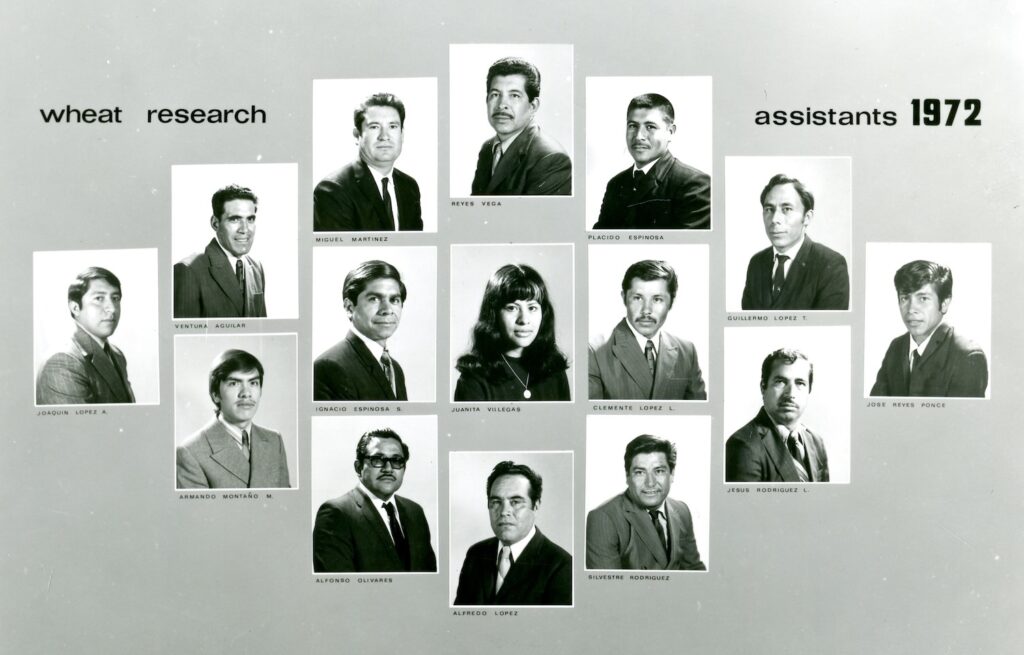Compilation of black and white headshots of wheat research assistants in 1972