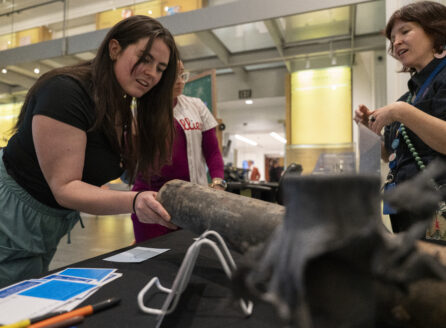 visitor touching an inert firework shell