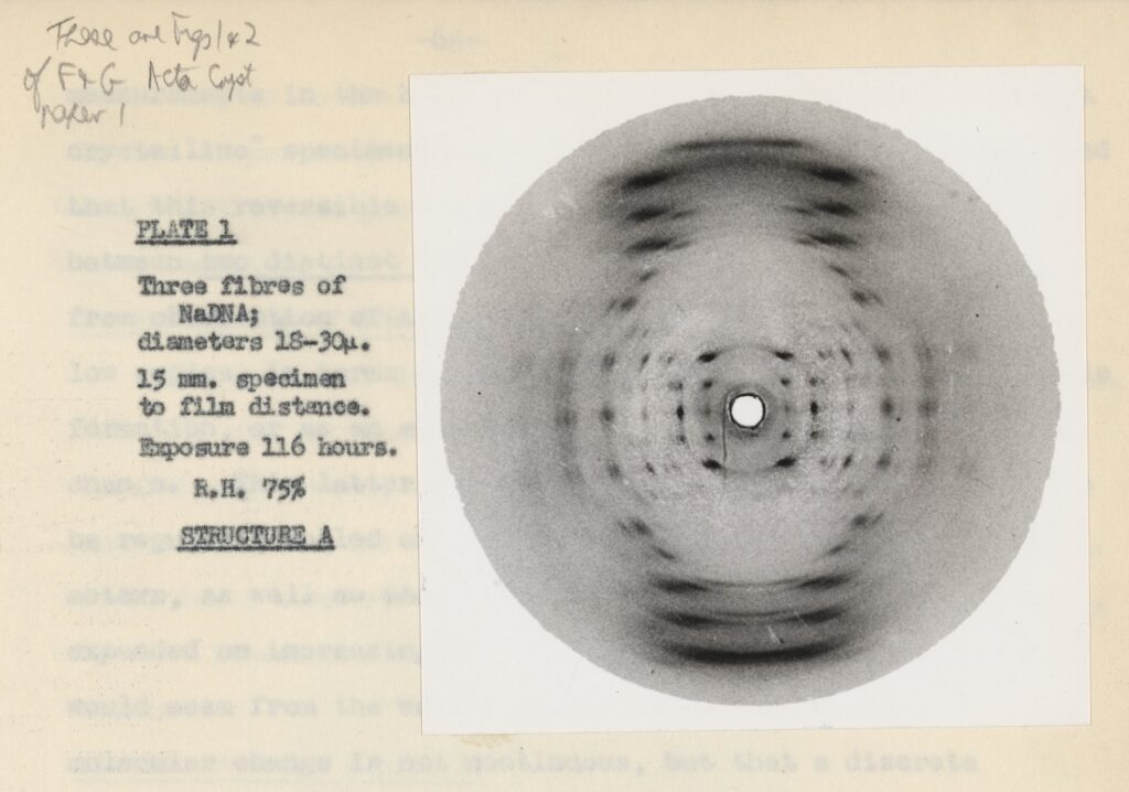X-ray diffraction pattern of the A-form of DNA from Raymond Gosling’s PhD thesis, 1954.