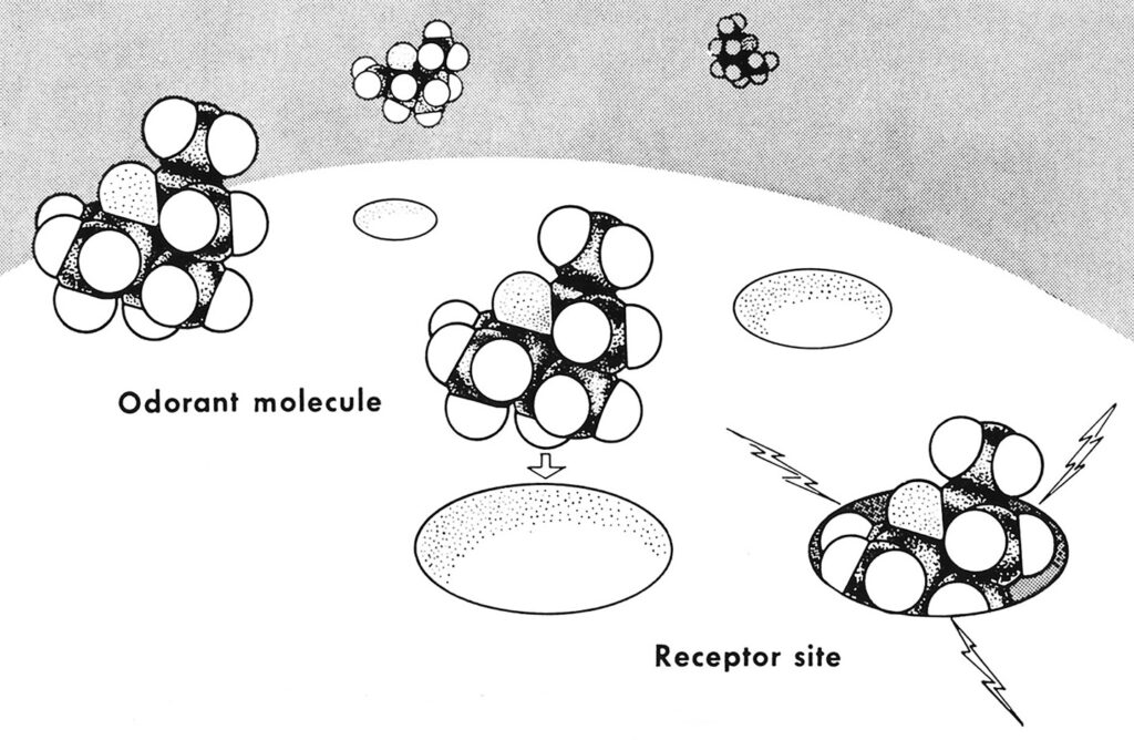 Molecules floating above a spherical body covered in circular openings. Lighting bolt-like shapes emanate from a molecule entering one of the openings