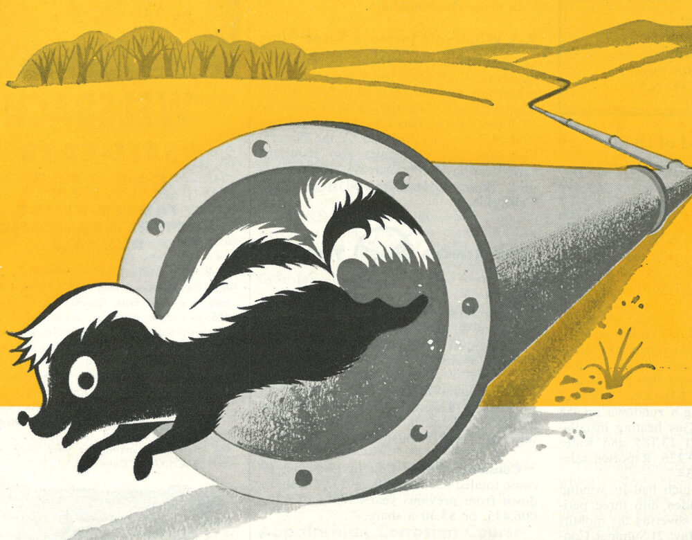 A cartoon skunk running out of a gas pipe in a rural environment