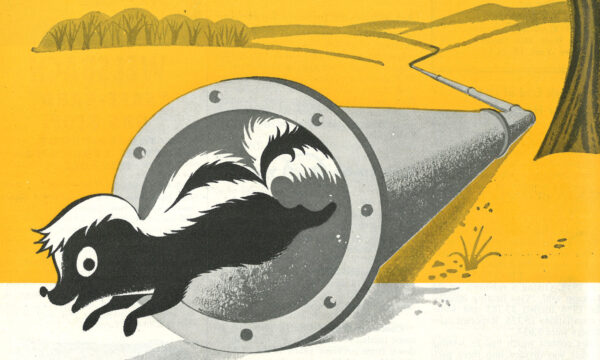 A cartoon skunk running out of a gas pipe in a rural environment