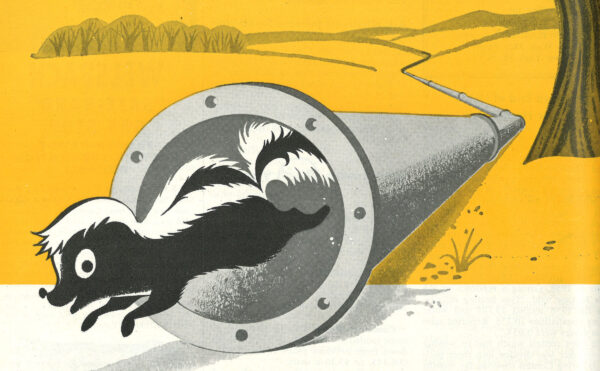 A cartoon skunk running out of a gas pipe in a rural environment
