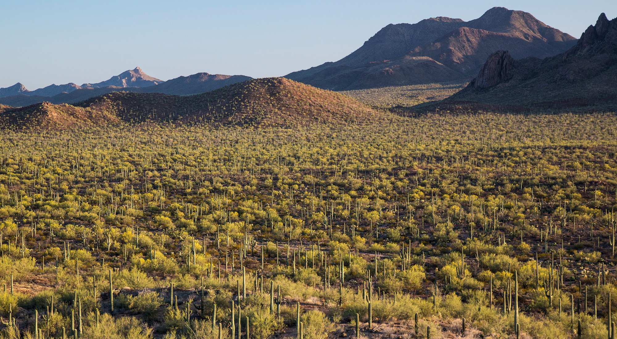 Photograph of a desert landscape with mountains in the background