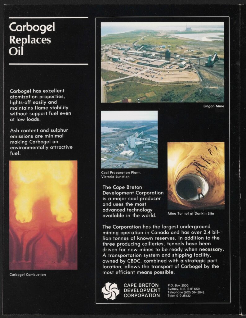 page from a brochure for Carbogel