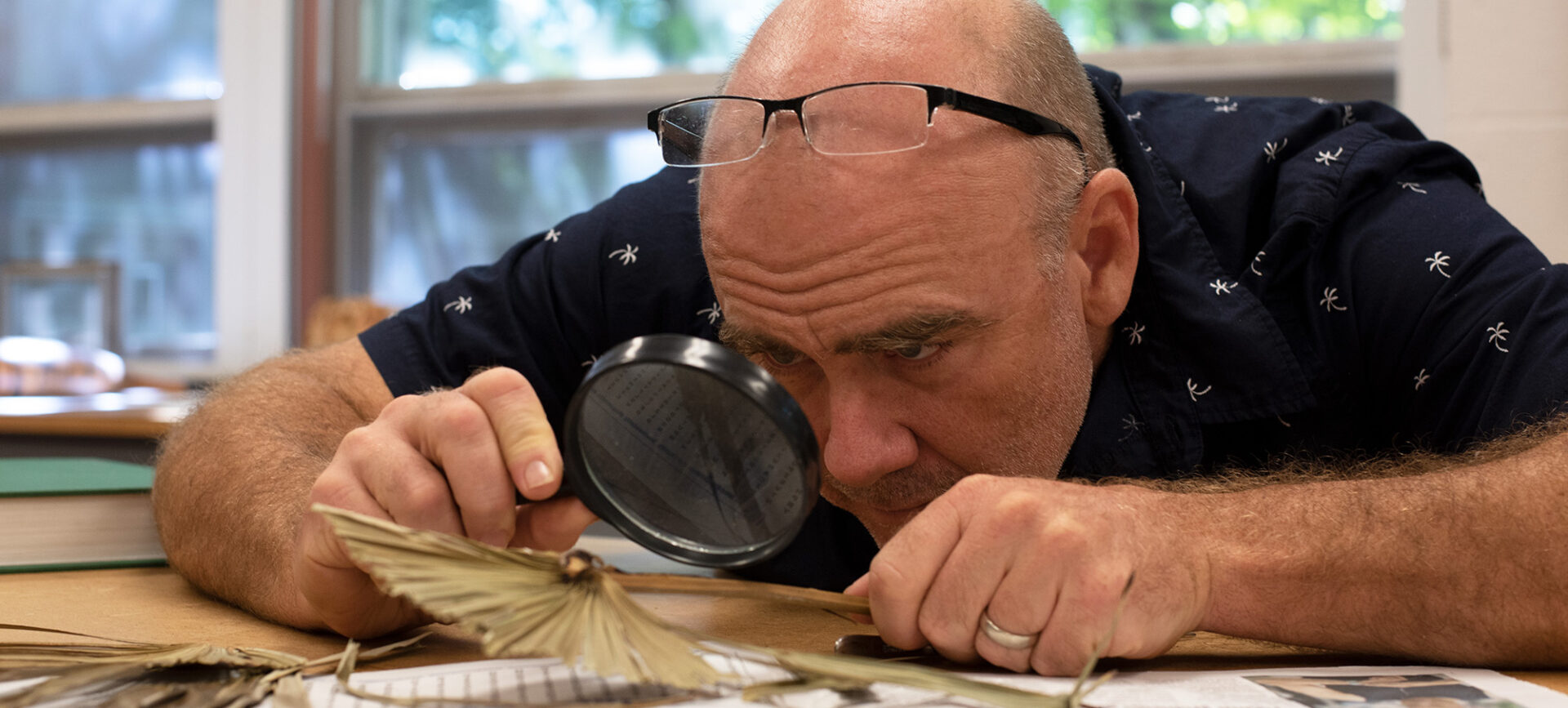 Man observing plant samples with a magnifying glass