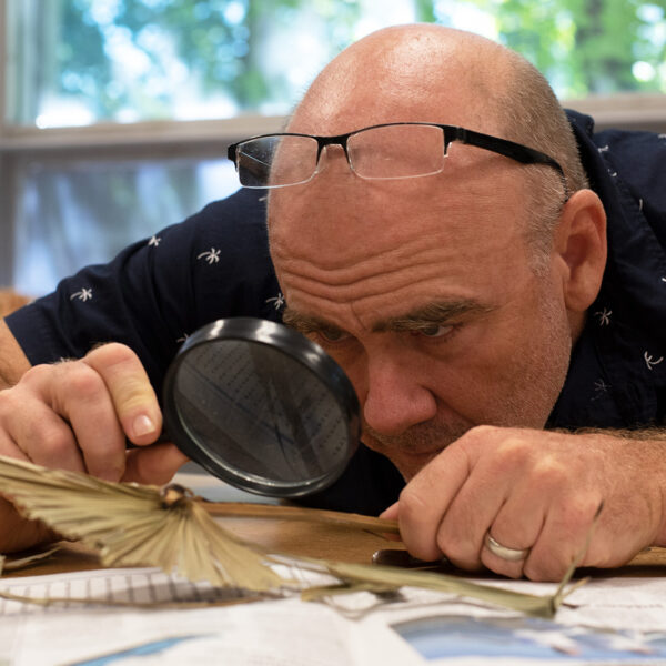 Man observing plant samples with a magnifying glass