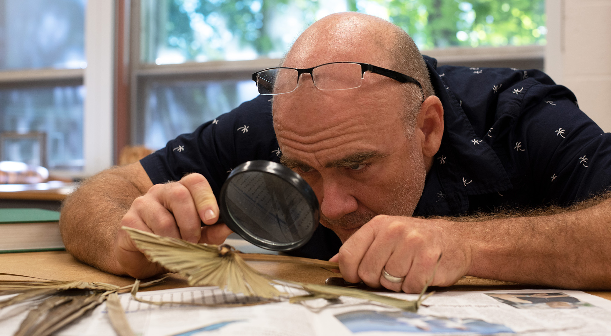Man observing plant samples with a magnifying glass