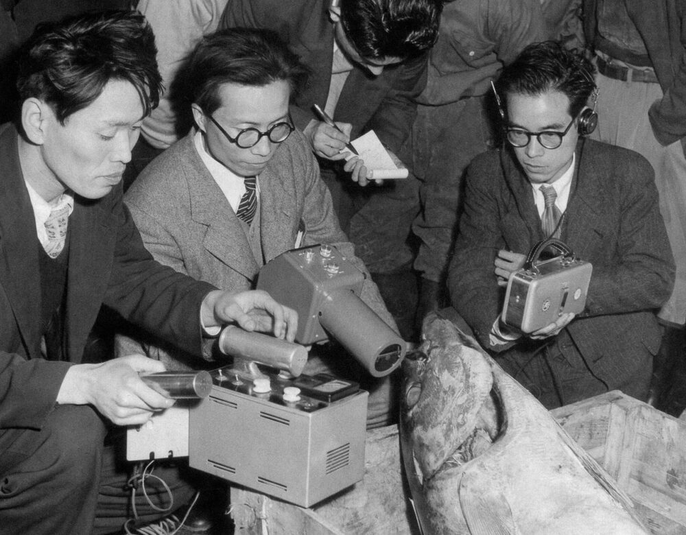 A group of men gathered around a large fish in a crate