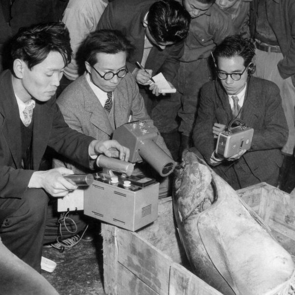 A group of men gathered around a large fish in a crate