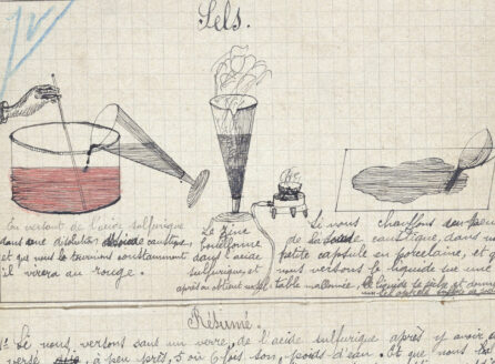 student notebook showing illustrations and explanations of experiments