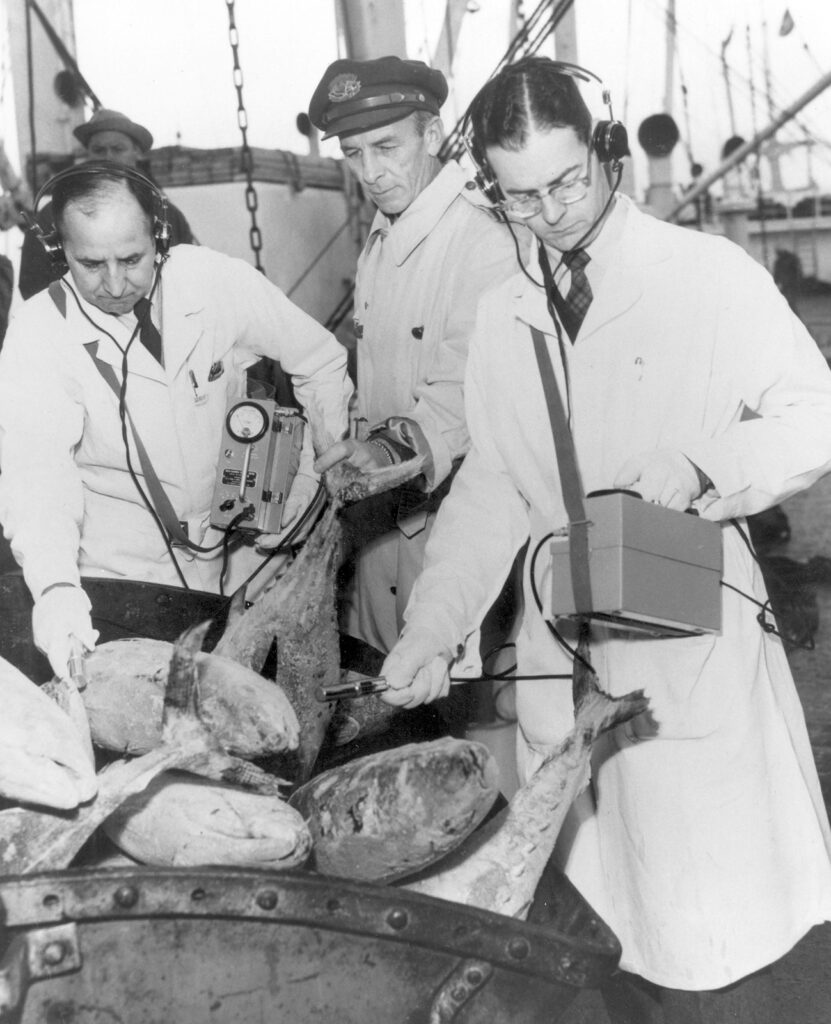 A group of men standing around a container of fish, two operating Geiger counters