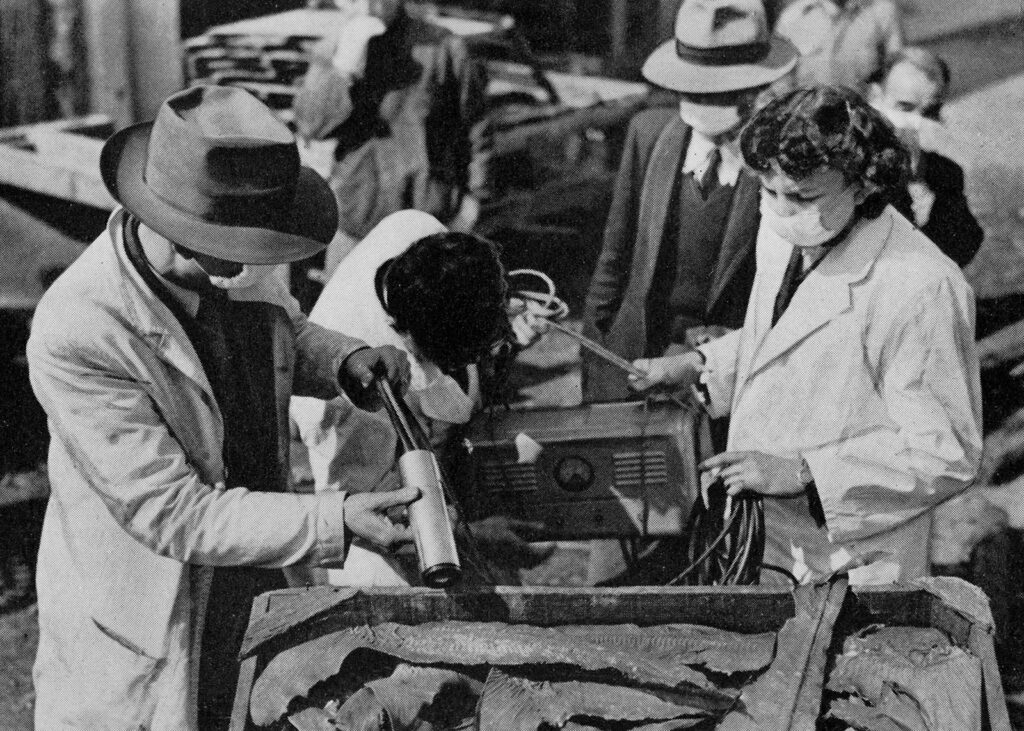 A group of people surround a crate of shark fins operating a Geiger counter