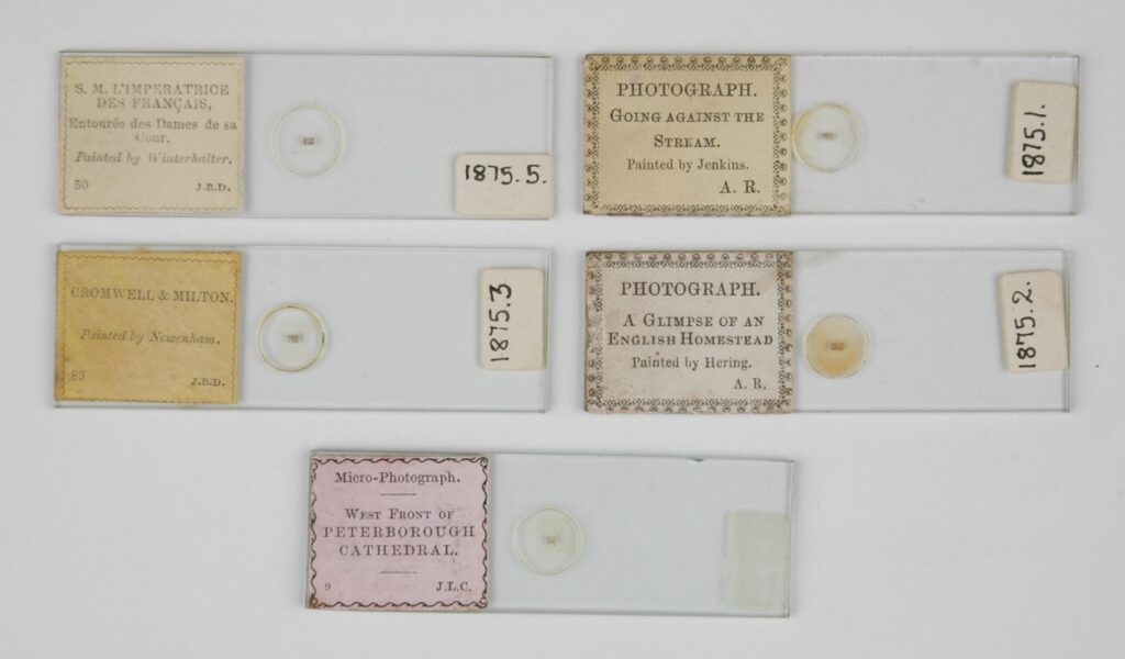 Microscope slides with microphotographs created by John Benjamin Dancer