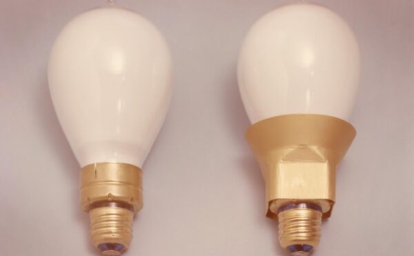 photo of two fluorescent light bulbs