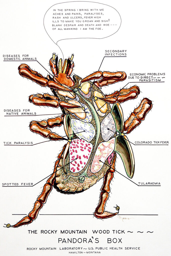 A cartoon tick annotated with various tick-borne diseases. The main text reads: “The Rocky Mountain Wood Tick–Pandora’s Box,” and a text bubble reads: “In the spring I bring with me aches and pains, paralyses, rash and ulcers, fever high ills to make you groan and sigh! Blank despair and death and woe... of all mankind I am the foe.”