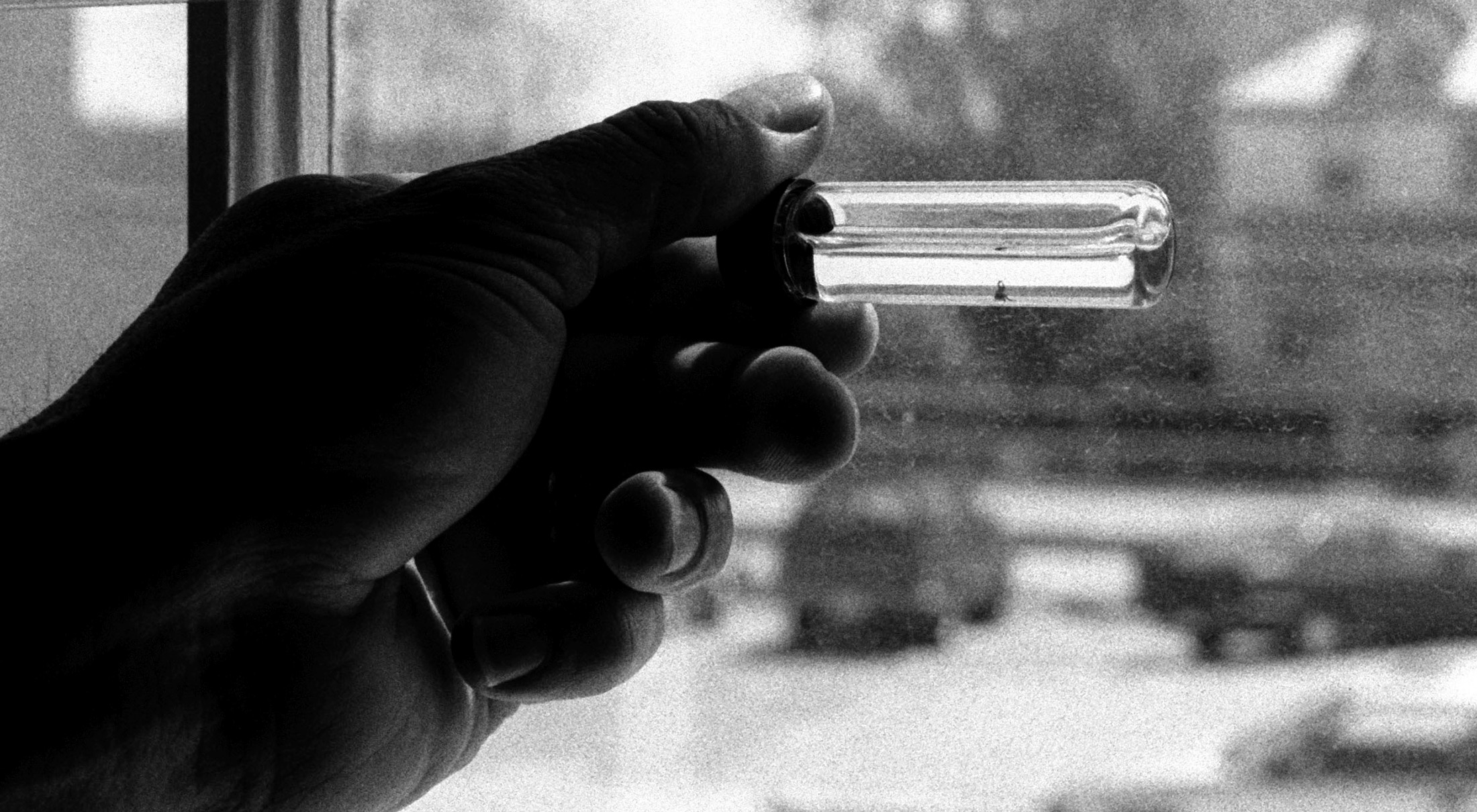A hand holding a vial containing a tick