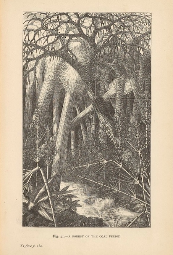 Page from the book The Fairy-Land of Science