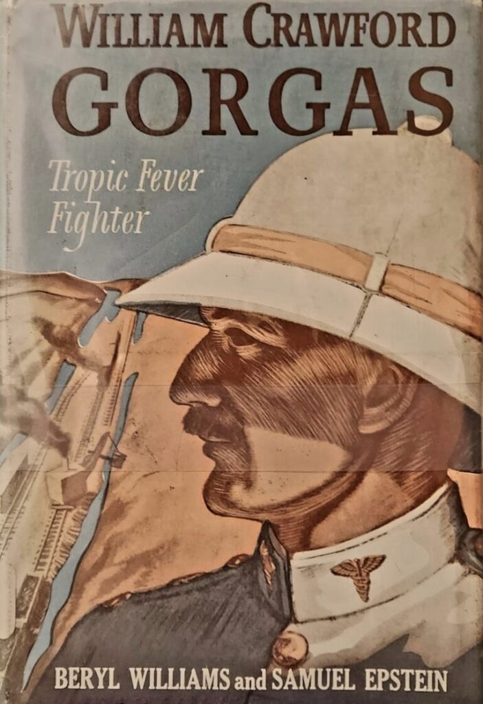 Cover of the book Tropic Fever Fighter