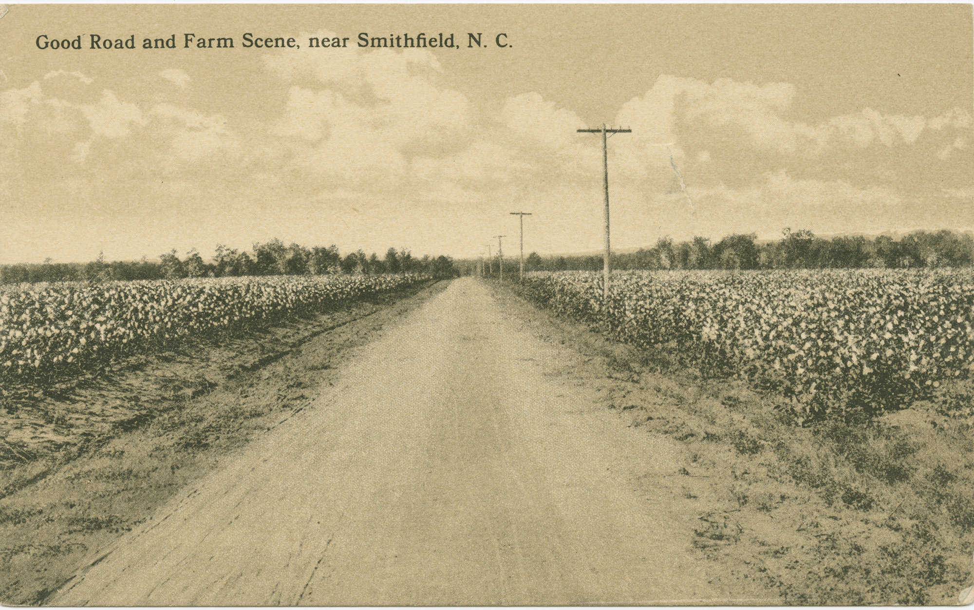 A dirt road with cotton fields on each side. A label reads “Good road and farm scene near Smithfield, N.C.”