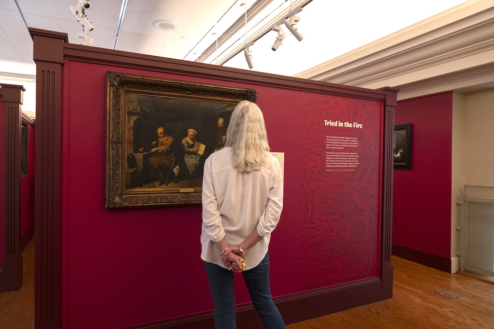 Person looking at a museum display