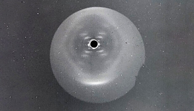 Photograph of a DNA sample labeled Photo 49