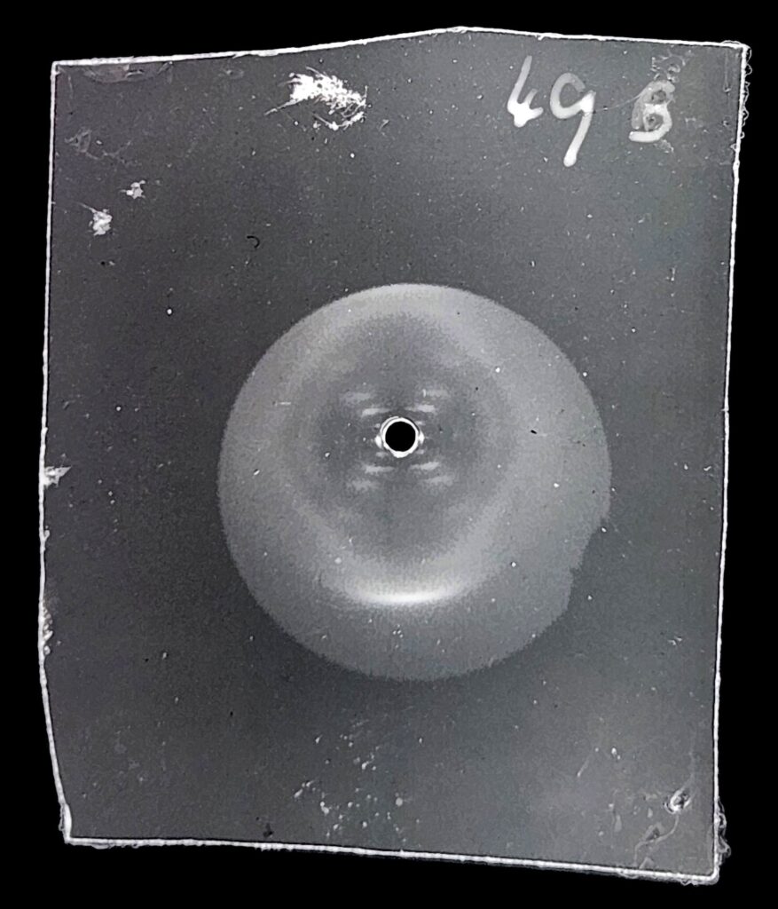 glass slide of a photo of DNA